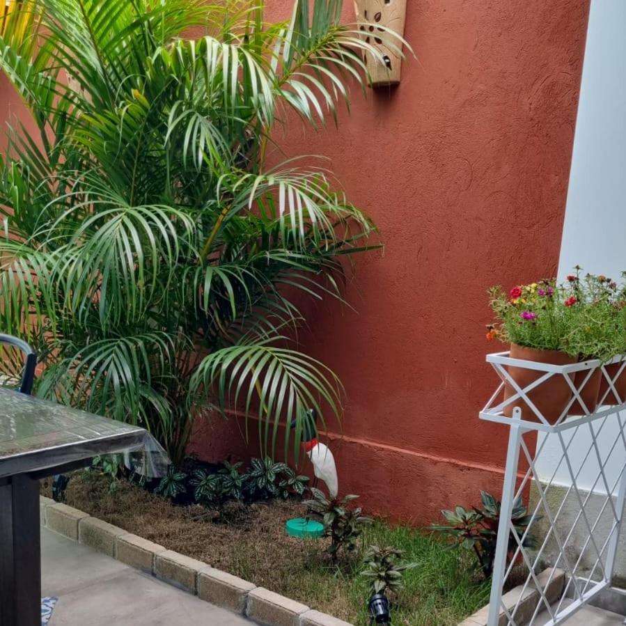 Hotel Pérola de Bombinhas Extérieur photo
